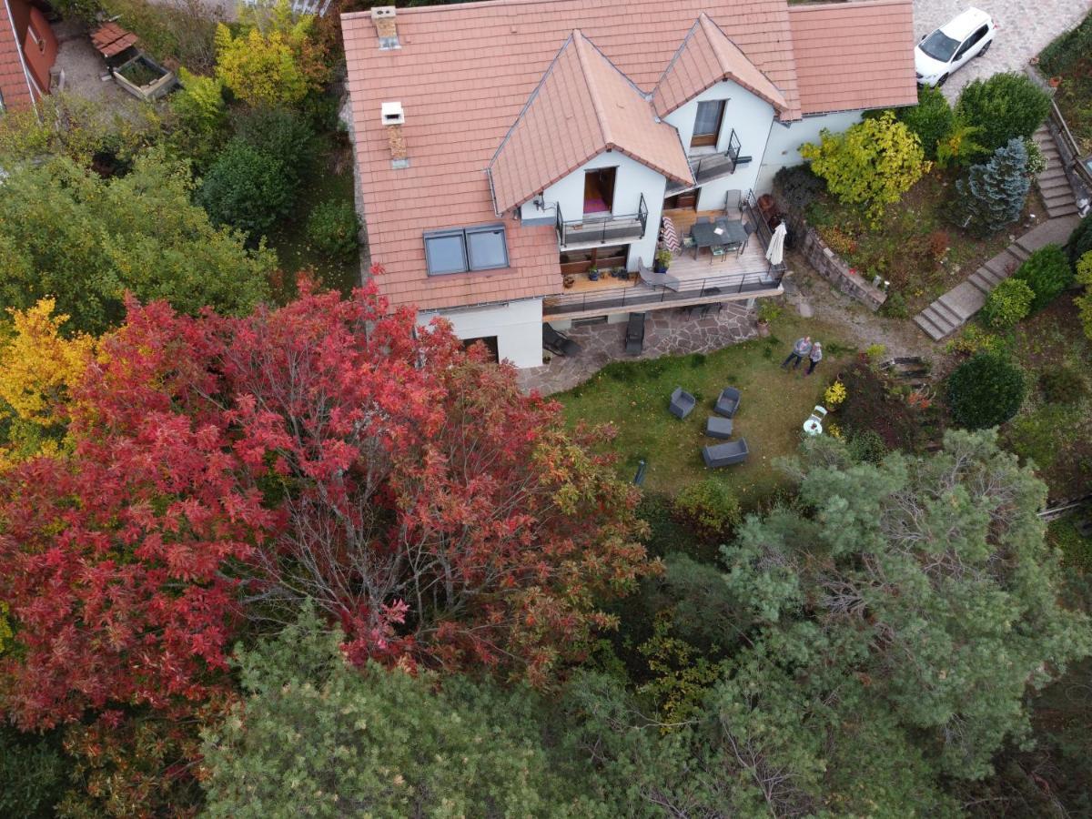 Chene Rouge Villa ลาปูตรัว ภายนอก รูปภาพ